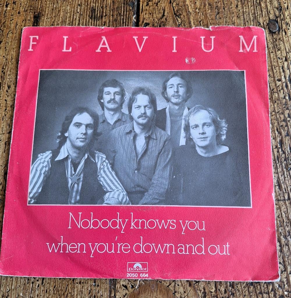 FLAVIUM (nl blues) nobody knows you..., Cd's en Dvd's, Ophalen of Verzenden, Zo goed als nieuw, Pop