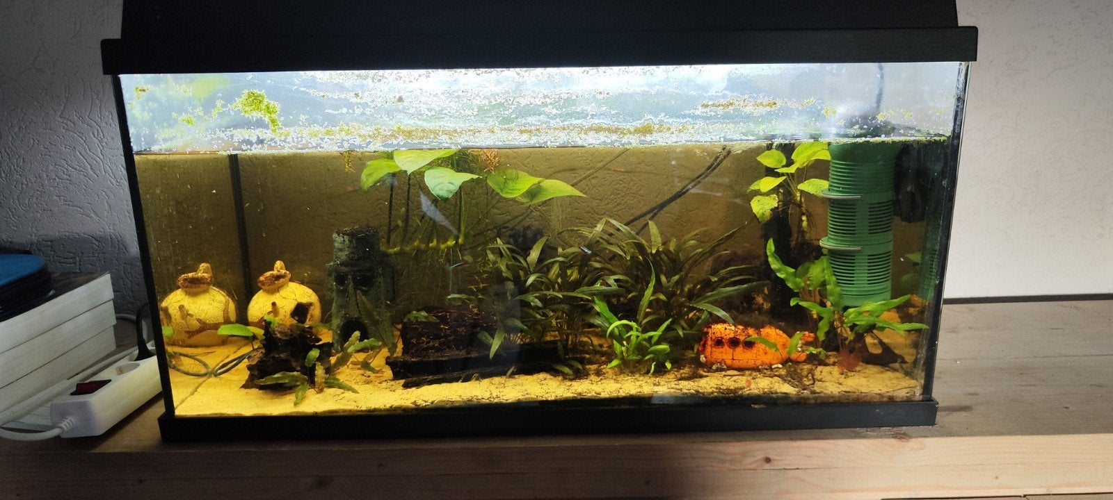 aquarium en diverse spullen., Dieren en Toebehoren, Ophalen, Gebruikt, Leeg aquarium, Superfish