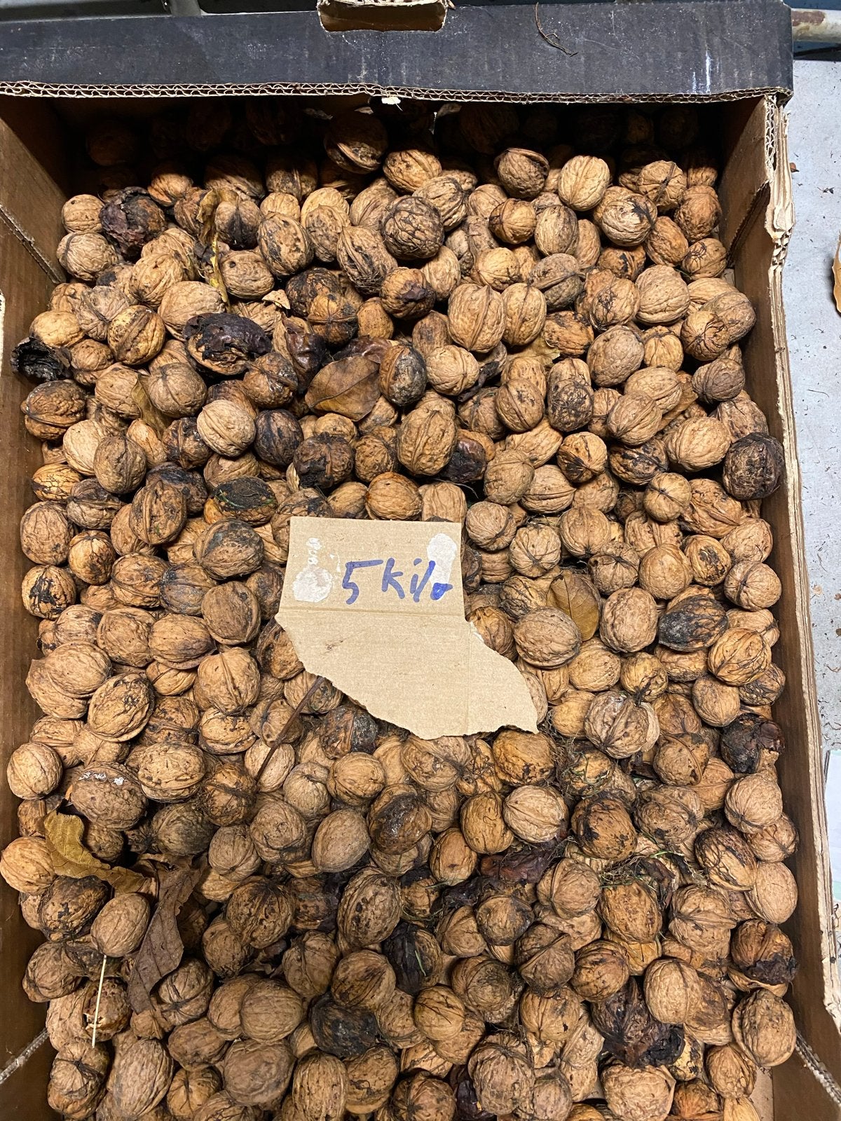Verse walnoten van eigen boom, Diversen, Ophalen