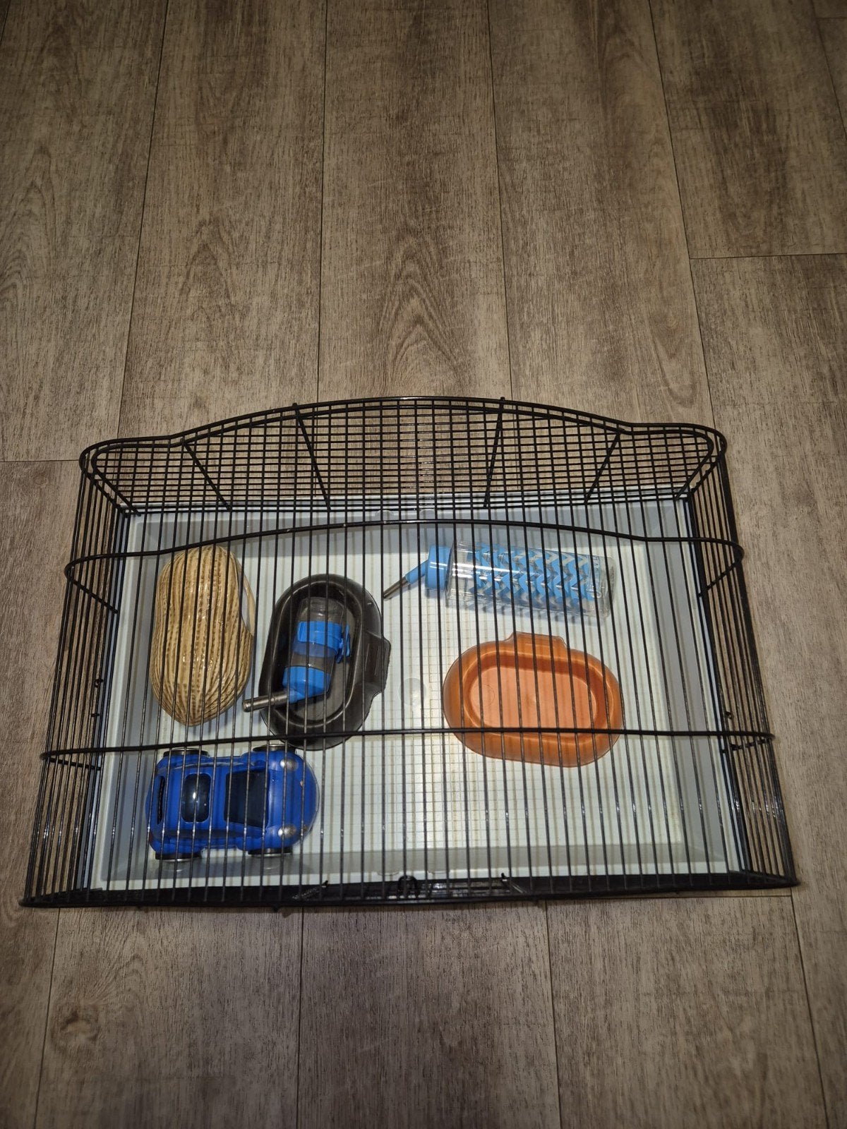hamsterkooi met spullen, Kooi, Minder dan 75 cm, Zo goed als nieuw, Hamster
