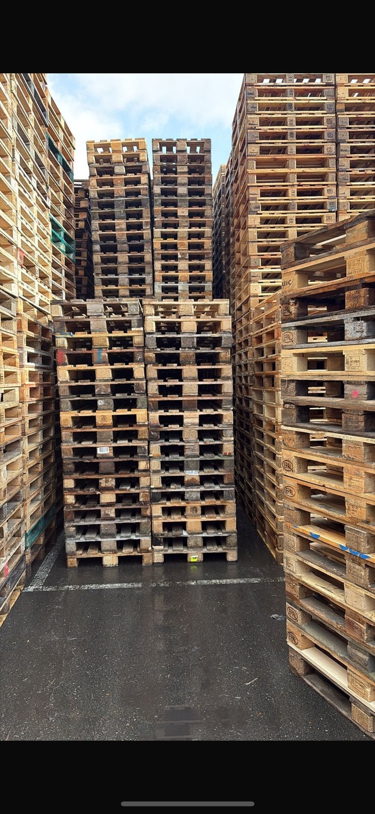 INKOOP/VERKOOP PALLETS!, Ophalen of Verzenden, Zo goed als nieuw, 50 mm of meer, Pallet