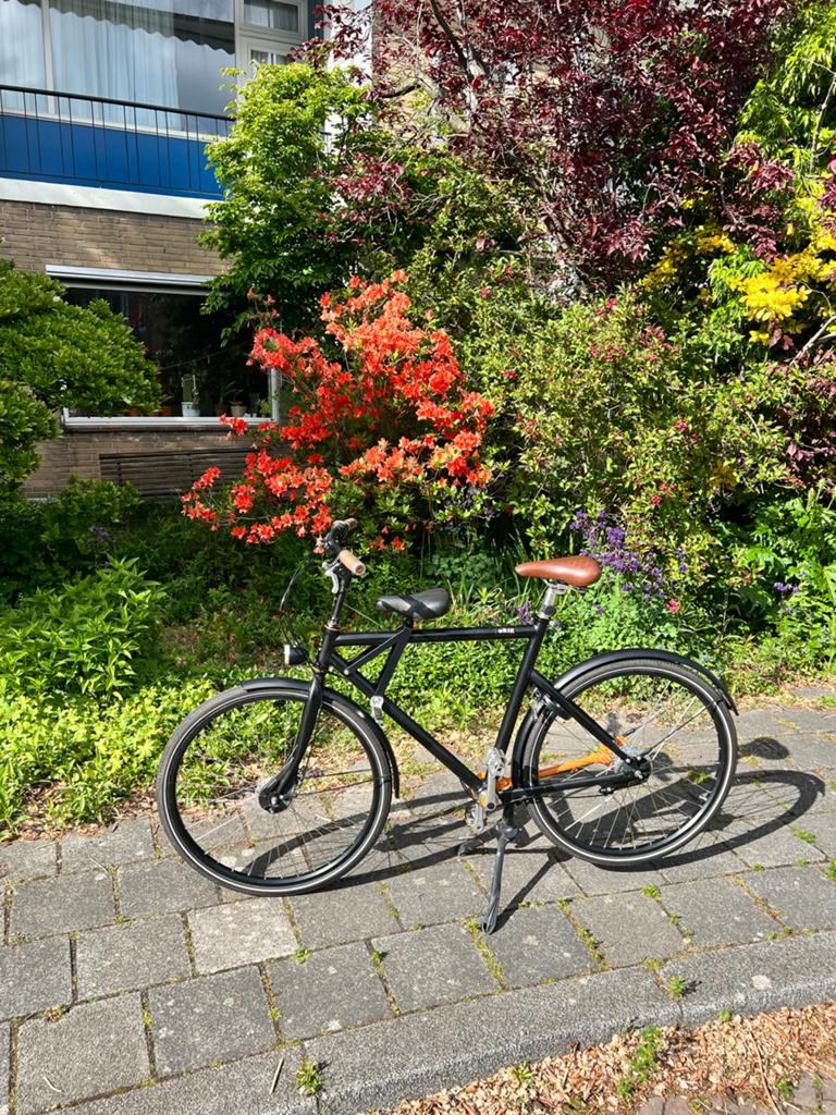 Brik fiets - Zwart, zo goed als nieuw, Velgrem, Zo goed als nieuw, 53 tot 57 cm, Ophalen
