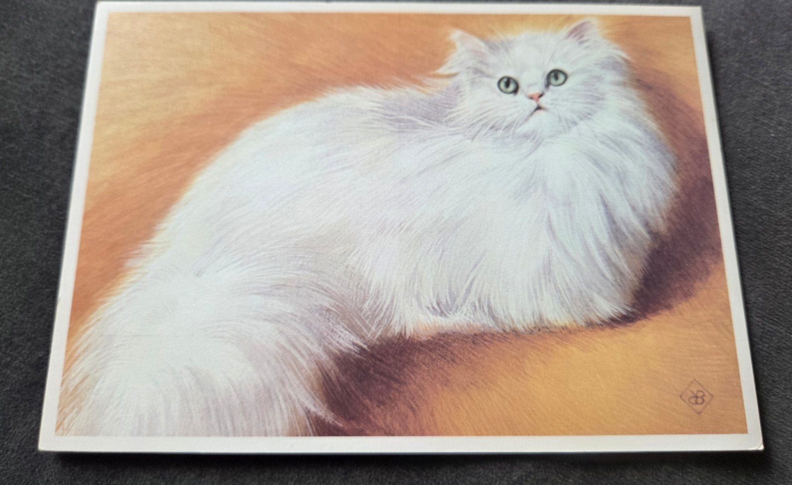 Witte Perzische Kat - Ko van den Broecke, Verzenden, 1960 tot 1980, Gelopen, Hond of Kat