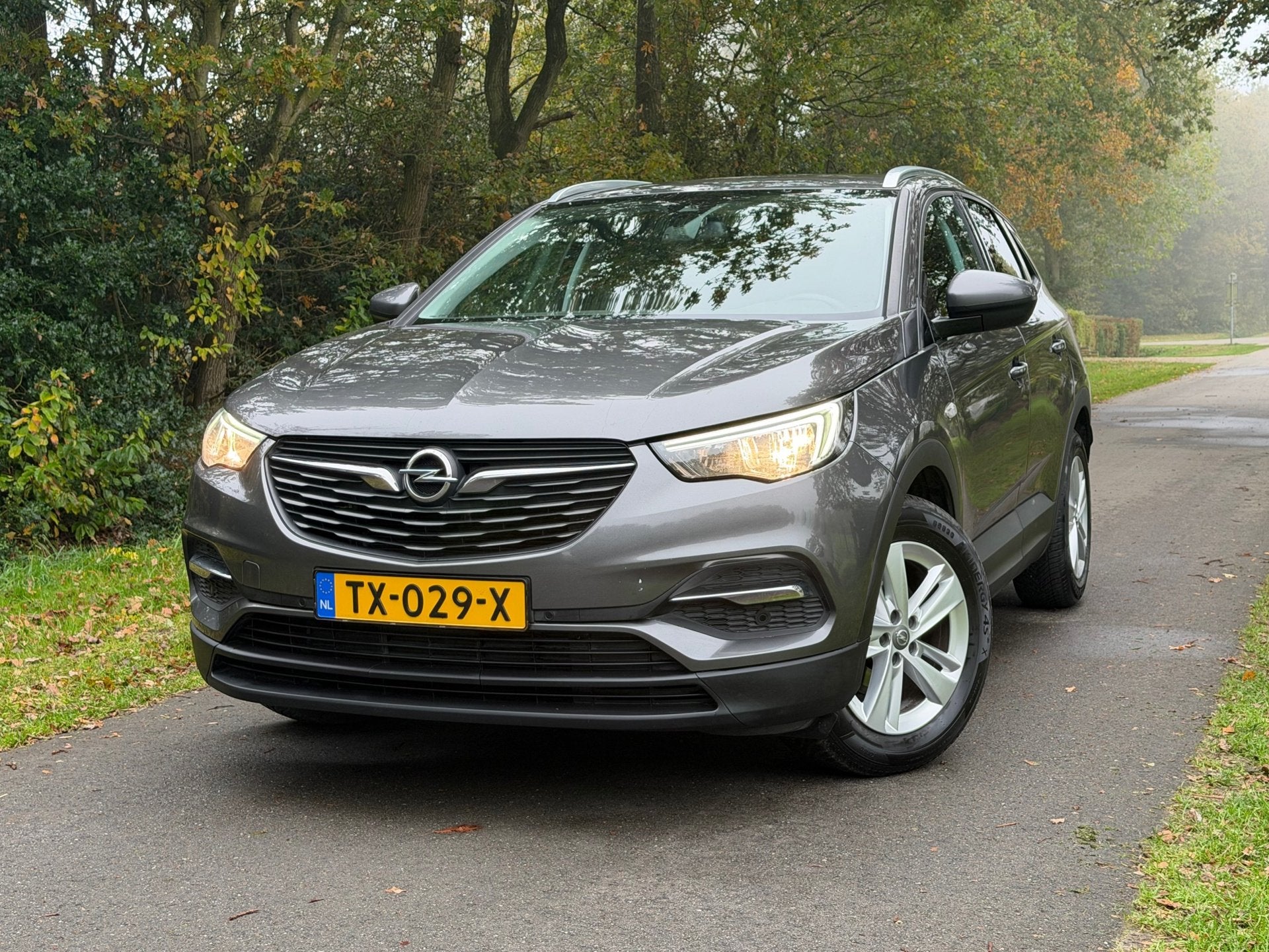 Opel Grandland X 1.2 Turbo Business + | Nette Auto + NAP + C, Auto's, Voorwielaandrijving, Gebruikt, Euro 6, 1199 cc