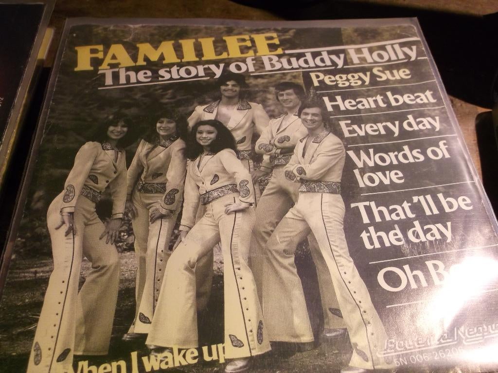 familee The story of buddy holly 54, Ophalen of Verzenden, Gebruikt, Pop