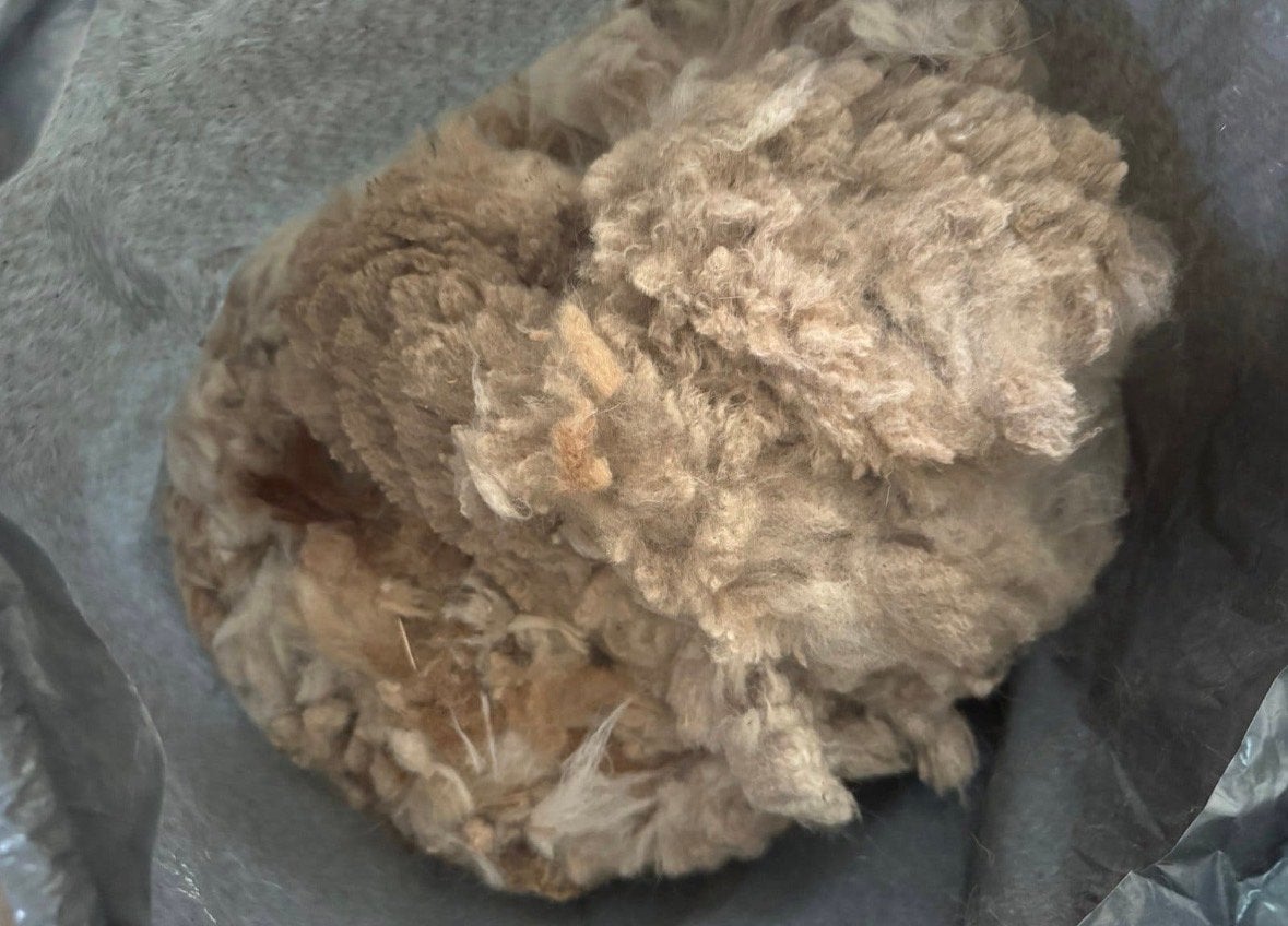 Alpaca wol in 3 kleuren - Ideaal voor knutsellaars, Ophalen, Gebruikt, Meerkleurig, Natuurlijk materiaal