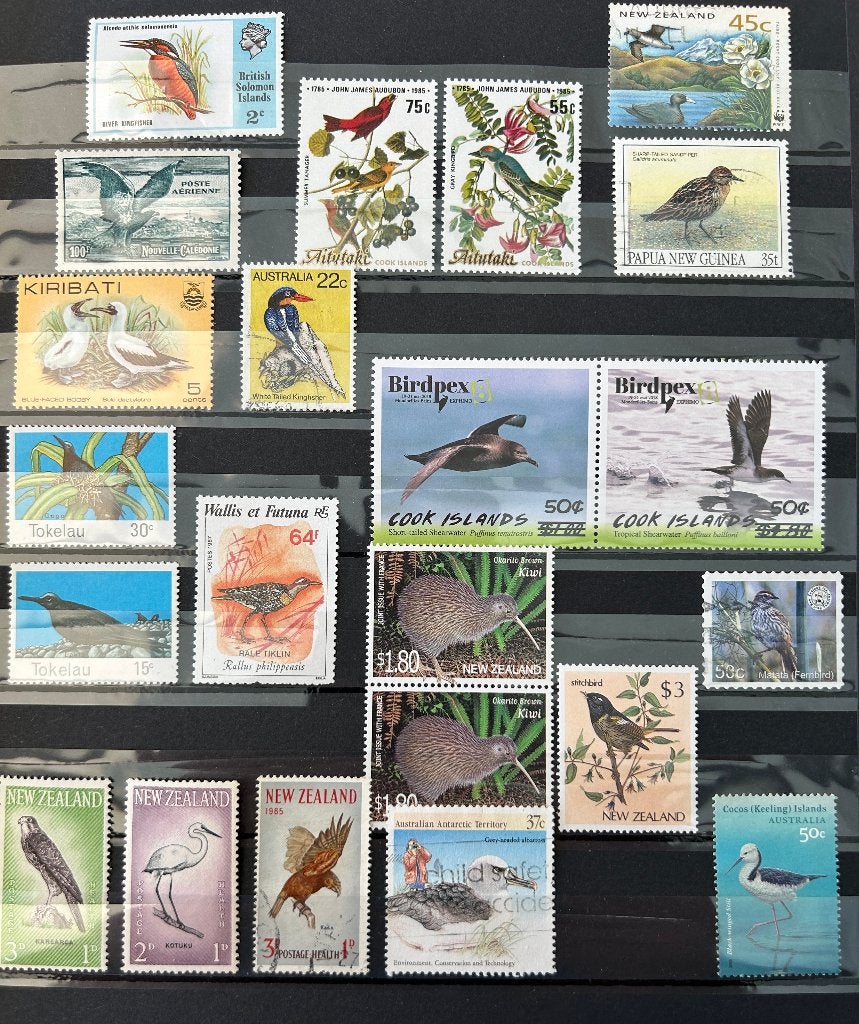 Vogels Oceanië, Verzenden, Dier of Natuur