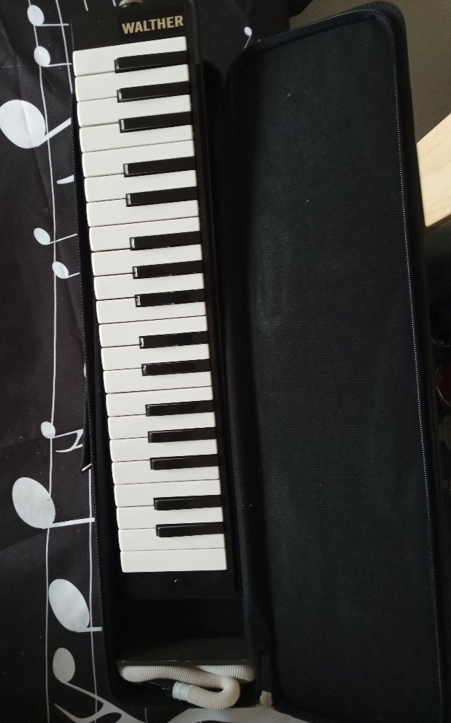 Walther Melodica - Draagbaar Blaasinstrument, Ophalen of Verzenden, Zo goed als nieuw, 1 klavier, Overige typen
