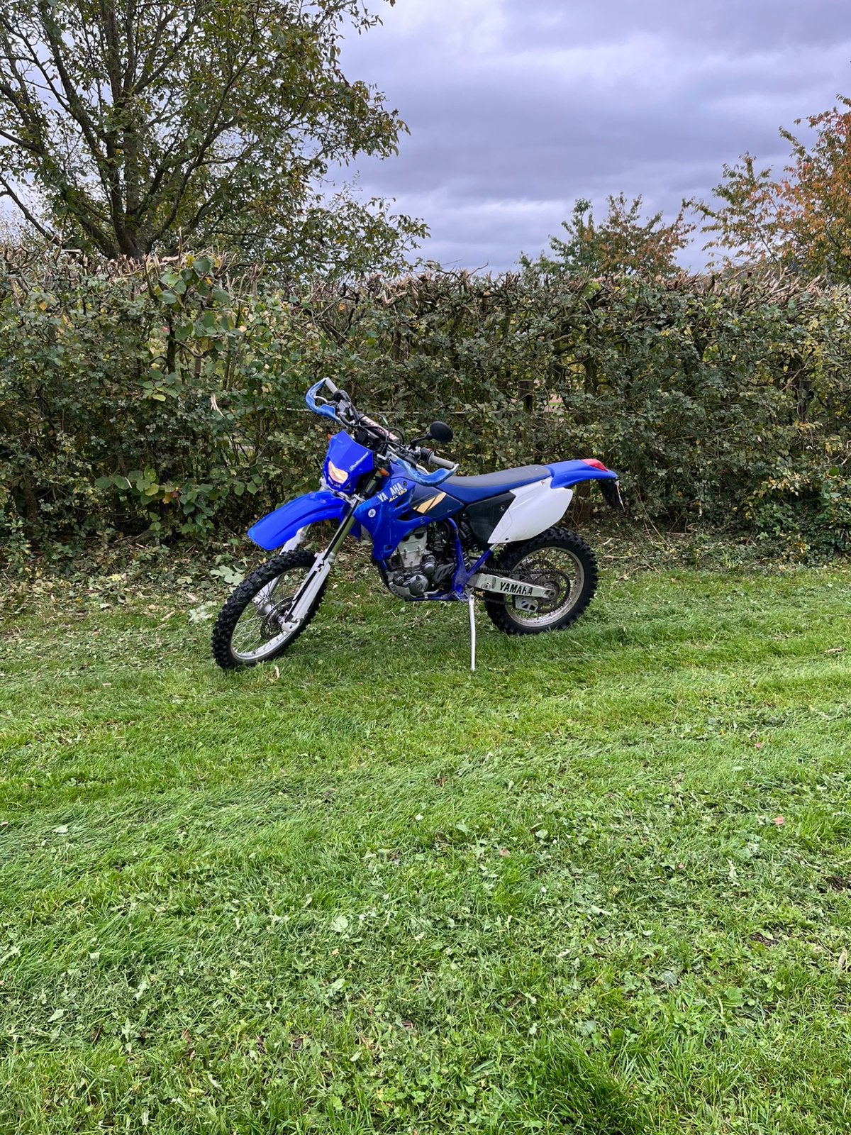 Yamaha WR450 crossmotor met kenteken, Motoren, Sportuitlaat, Motorrijbewijs A, Gebruikt, Particulier