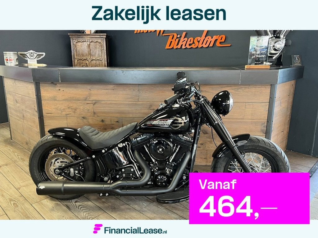 Harley Davidson FLS Softail Slim Custom Special Paint Custom, Motoren, 1690 cc, Bedrijf, Meer dan 35 kW, Overig