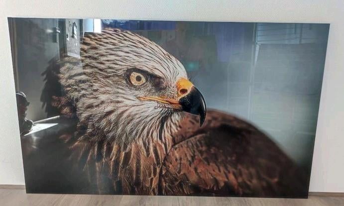 Prachtig Glas Schilderij 120x70 met Adelaar, Ophalen