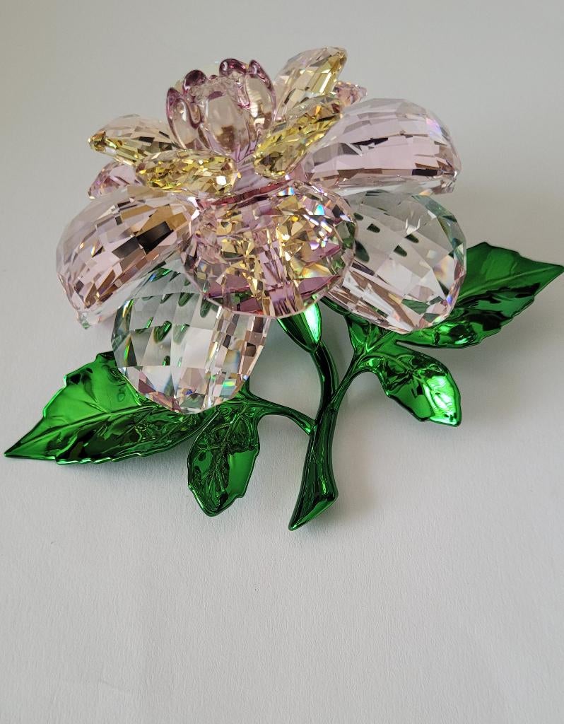Swarovski 2026 Florere Camelia Bloem. Kristallijn Shop, Verzamelen, Swarovski, Swarovski@.com, Wattens, Nieuw, Ophalen of Verzenden