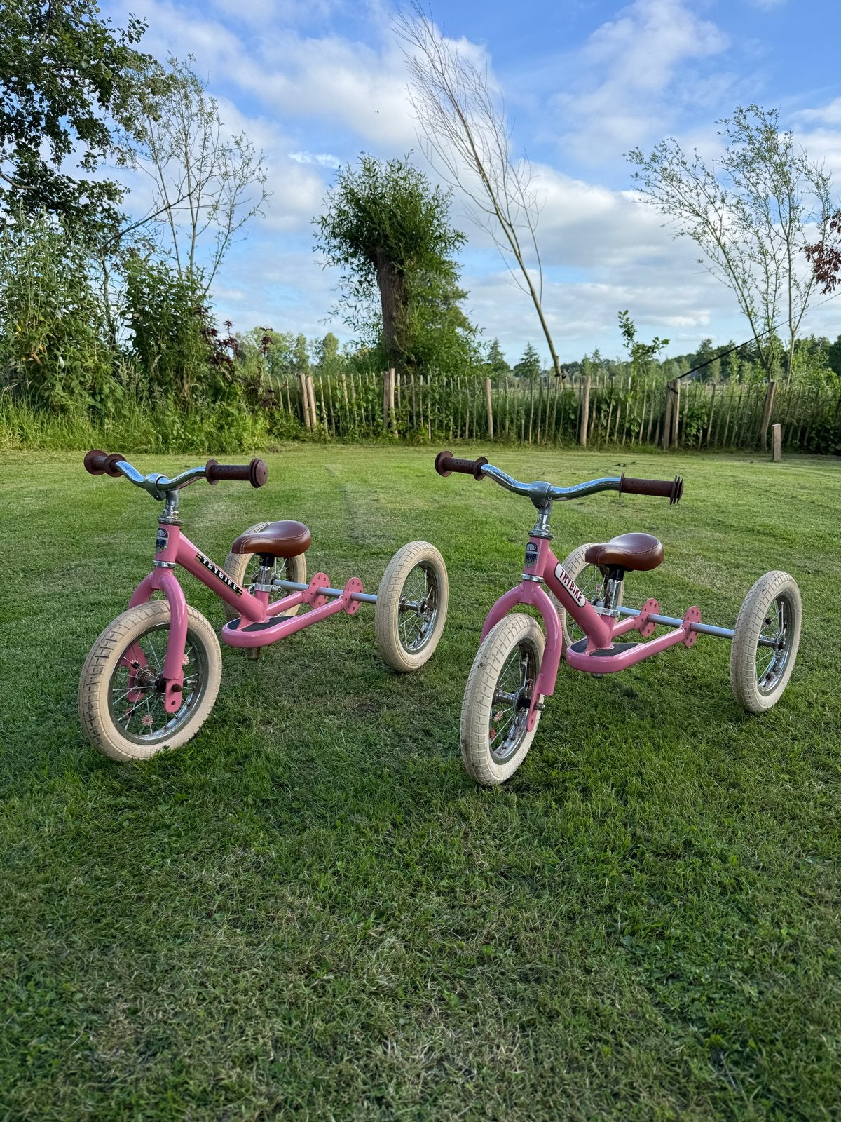 Trybike roze loopfiets/driewieler, Ophalen, Gebruikt, Verstelbare zitting