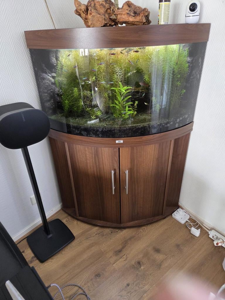 Jewel hoekaquarium 190 L, Dieren en Toebehoren, Vissen | Aquaria en Toebehoren, Ophalen, Leeg aquarium, Juwel, Inclusief planten