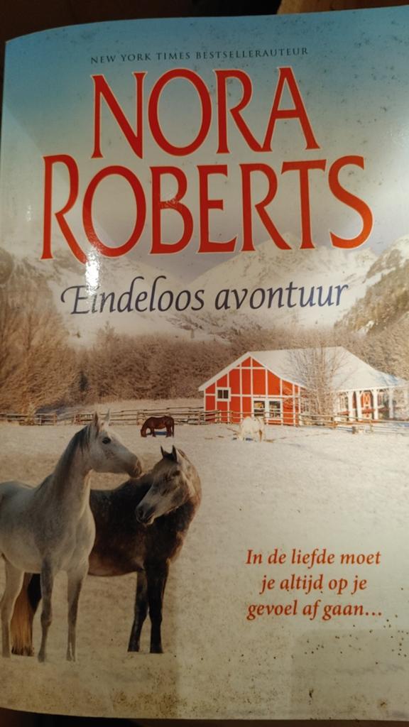 Nora Roberts - Eindeloos avontuur (Roman), Boeken, Avontuur en Actie, Ophalen of Verzenden, Gelezen, Nora Roberts