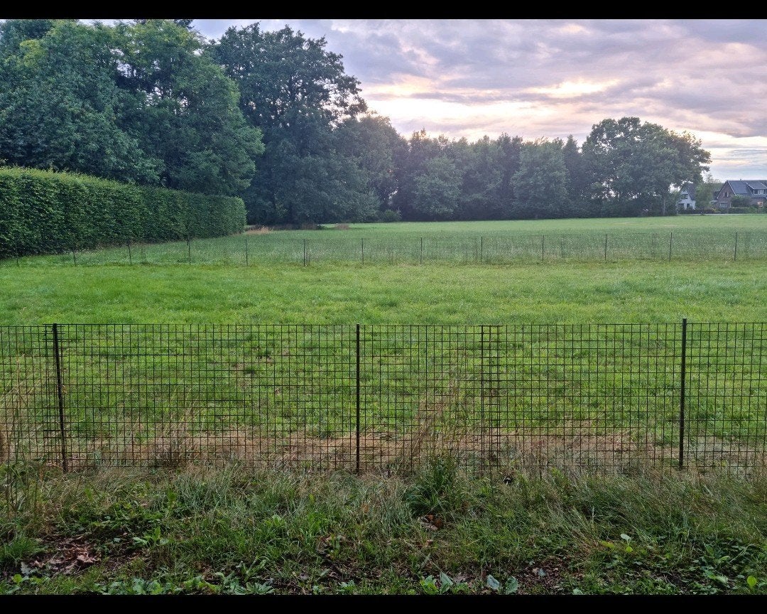 Nieuw! 120 meter betongaas! Maaswijdte 5x5cm hoogte 100cm, Ophalen of Verzenden, Nieuw, IJzer, Gaashekwerk
