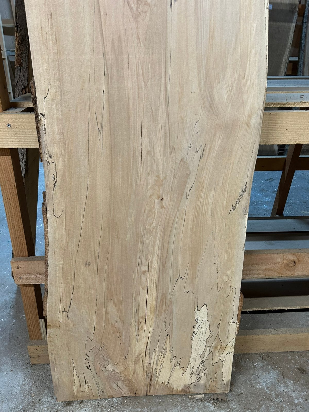 Nr 88/ Boomstamblad Spalted Beuk met slaap ca.5x57x230cm, Ophalen, Nieuw, 180 tot 250 cm, Planken