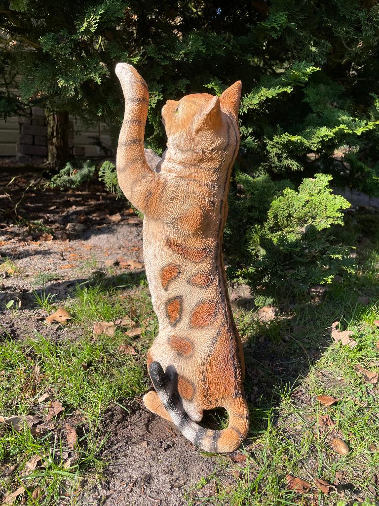 Poes, kat, Bruin, tuin, gazon, kitten, boerderij 50cm, Tuin en Terras, Tuinbeelden, Ophalen of Verzenden, Nieuw, Kunststof, Dierenbeeld