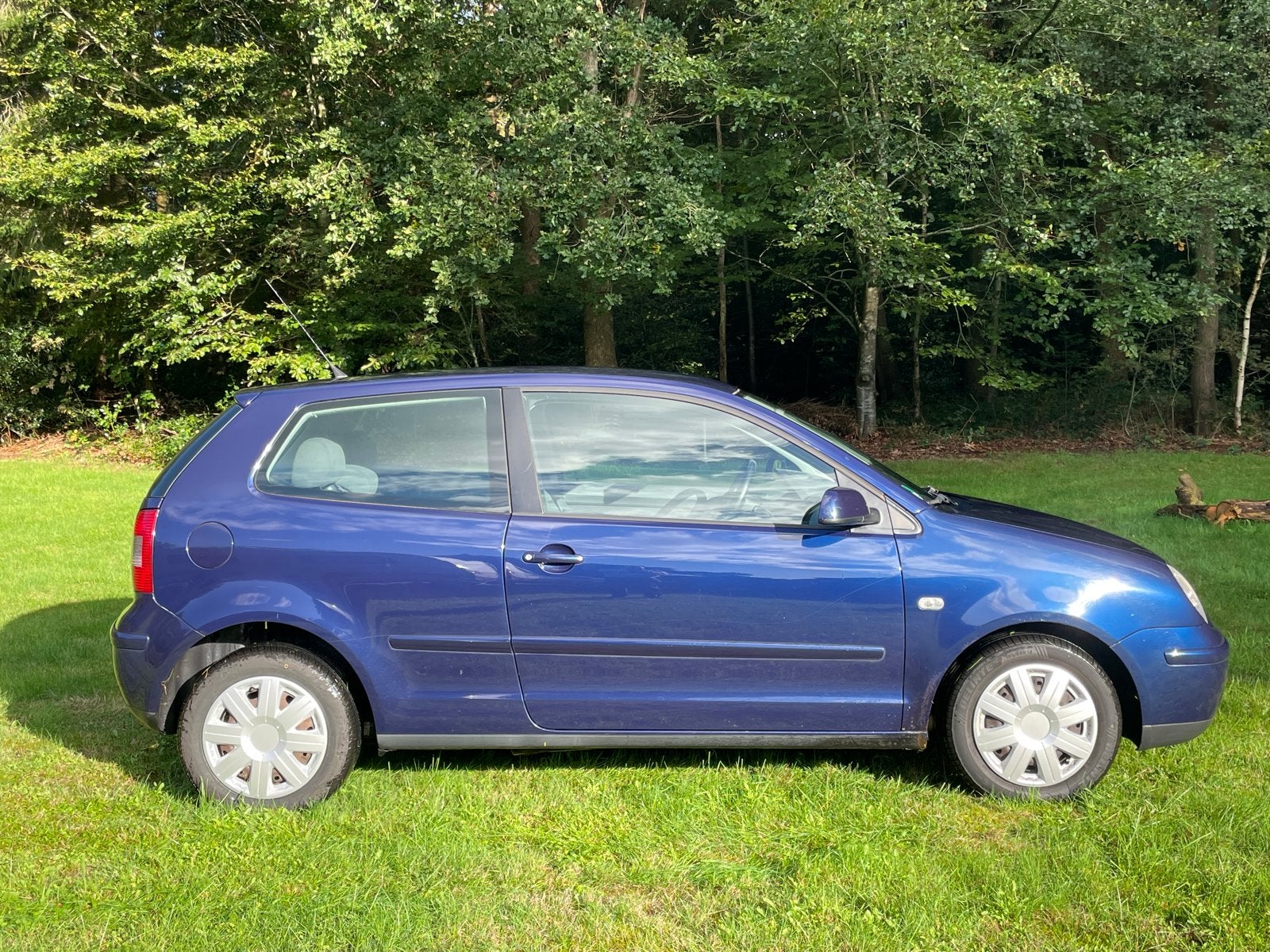 Volkswagen Polo 1.2 47KW 2004 Blauw, Blauw, 1198 cc, Origineel Nederlands, Bedrijf