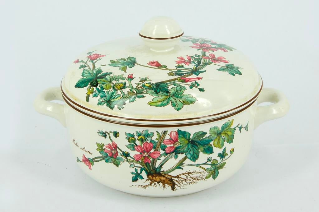 DEKSCHAAL  VILLEROY EN BOCH ,  BOTANICA, Ophalen of Verzenden