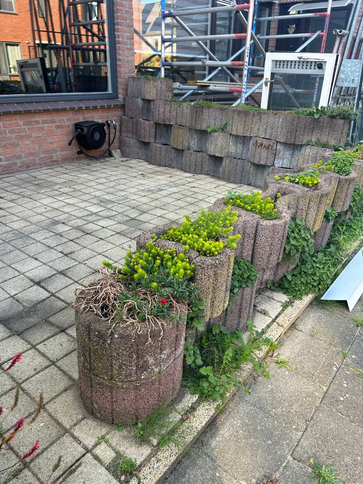 Betonnen bloembakken voor tuin of balkon, Tuin en Terras, Ophalen, Gebruikt, 100 cm of meer, Balkon