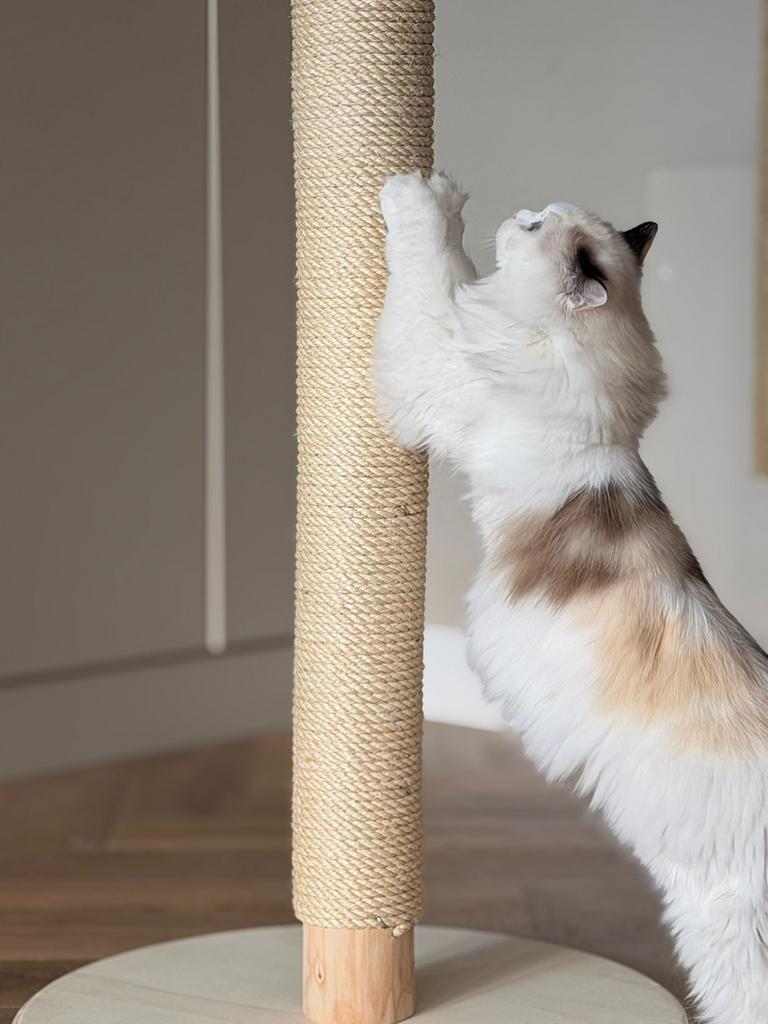 Nieuw: Krabpaal kat 100cm sisal hout makkelijk monteren, Ophalen of Verzenden, Nieuw, Krabpaal