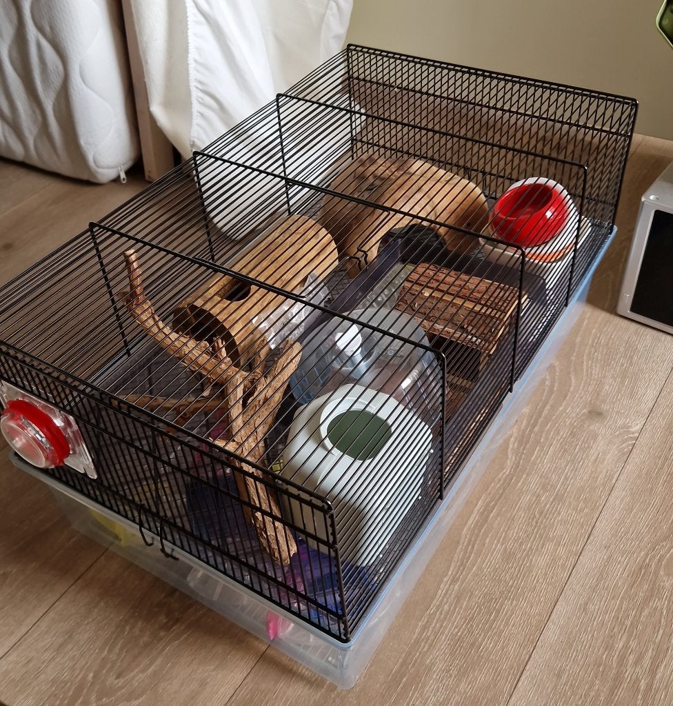 Mooie hamsterkooi met veel accesoires, Kooi, Gebruikt, Minder dan 75 cm, Ophalen