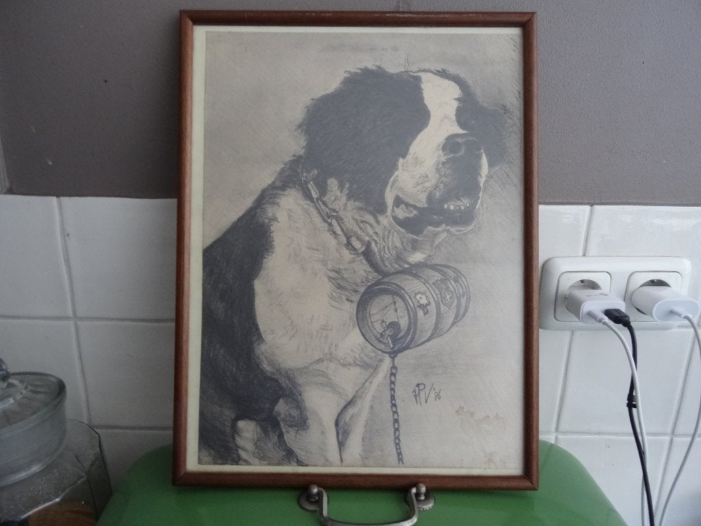 Grote oude ets prent Sint-Bernard hond gesigneerd, Verzamelen, Ophalen, 1960 tot 1980, Gebruikt, Dier