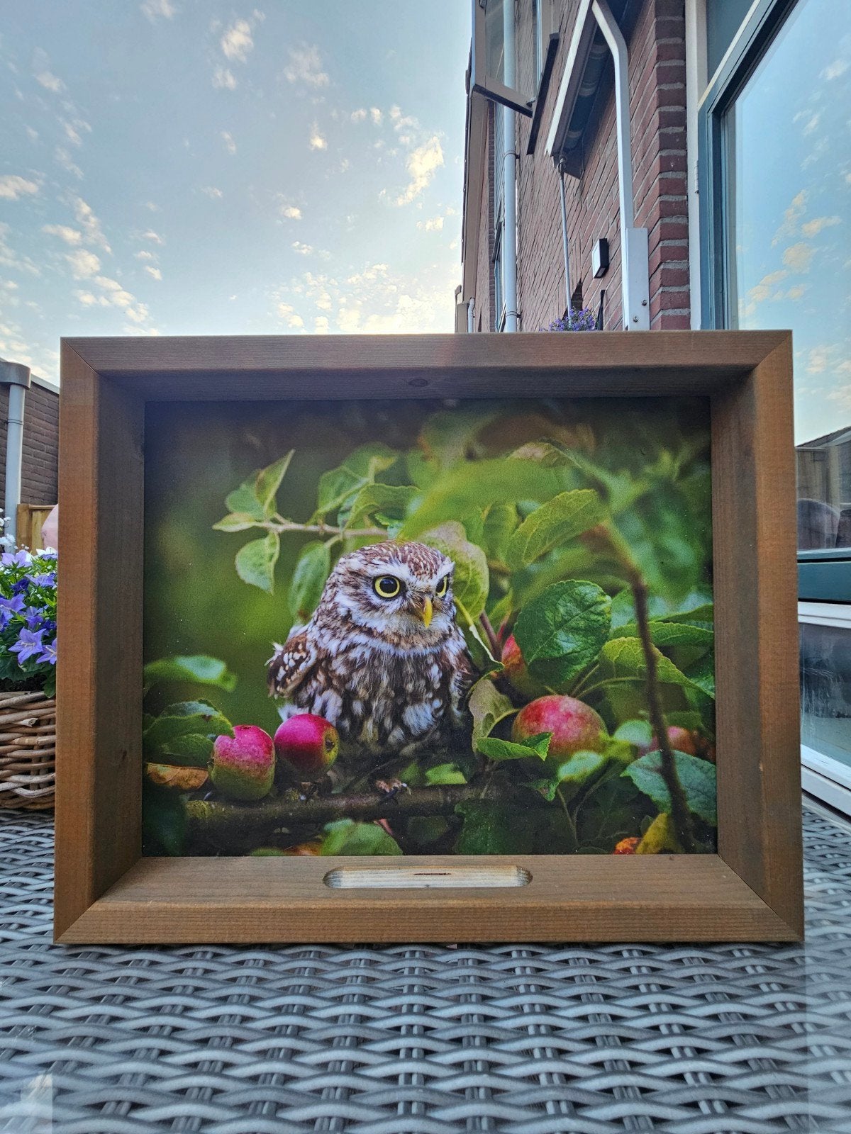 Schilderij buiten vogelvoederhuisje, Tuin en Terras, Tuinwanddecoratie, Ophalen, Zo goed als nieuw