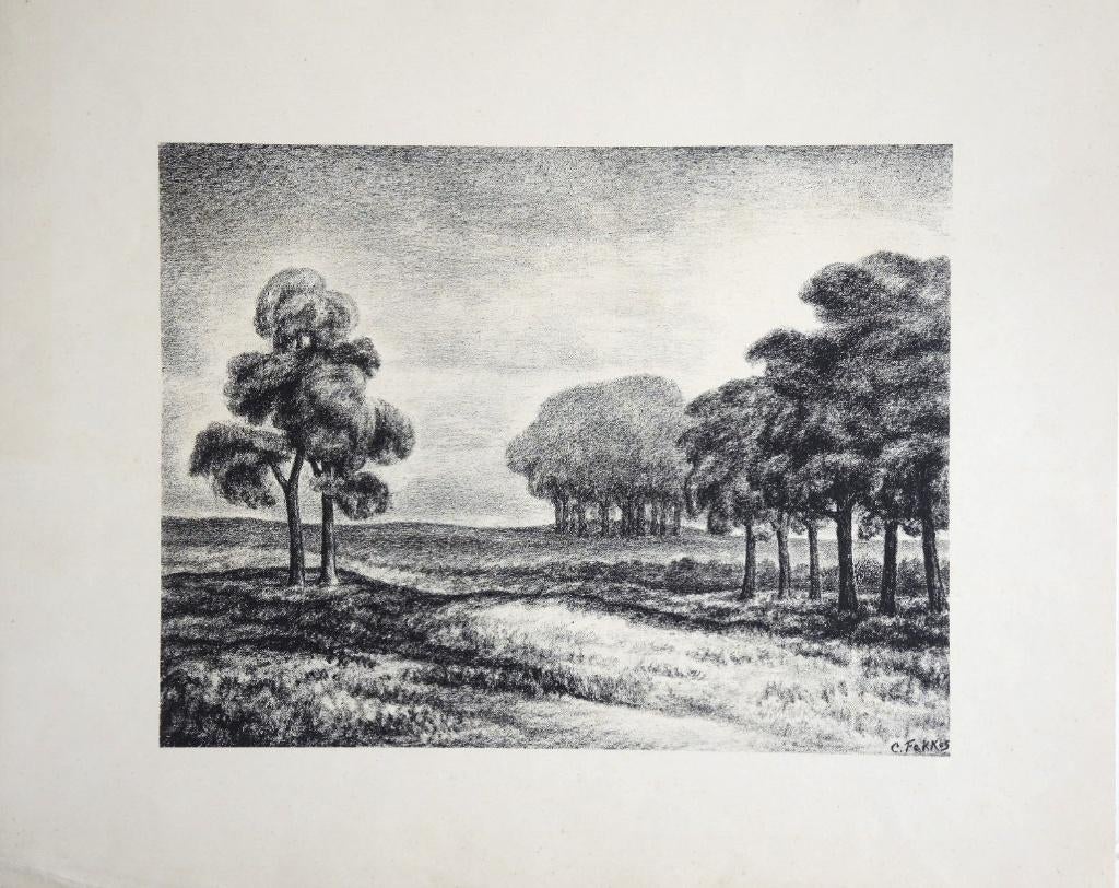 Jan Fekkes litho "Landschap in Het Gooi", Ophalen