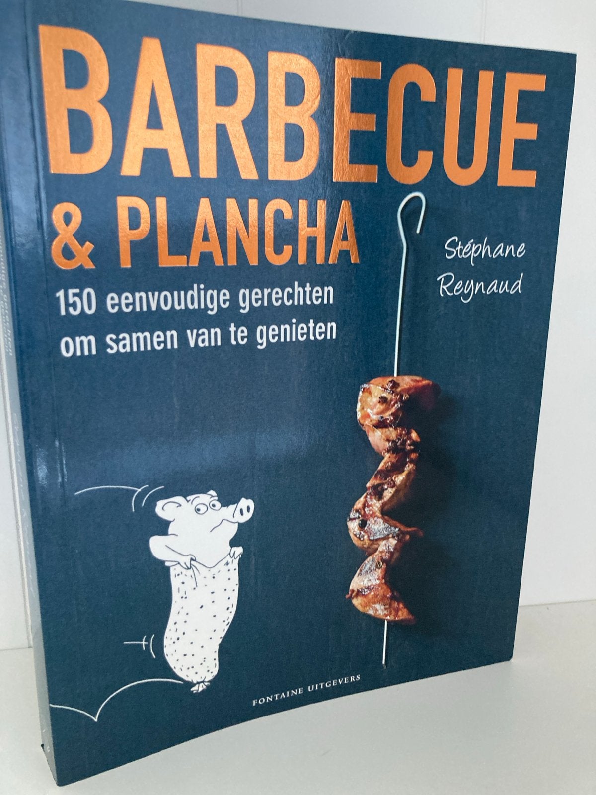 Barbecue & Plancha - 150 recepten om samen van te genieten, Verzenden, Zo goed als nieuw, Europa, Hoofdgerechten
