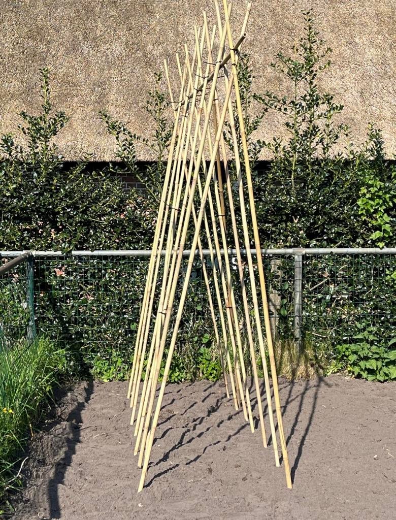 Bonenstokken bamboe tonkin moestuin plantensteun groentetuin, Tuin en Terras, Ophalen of Verzenden, Nieuw, Overige typen