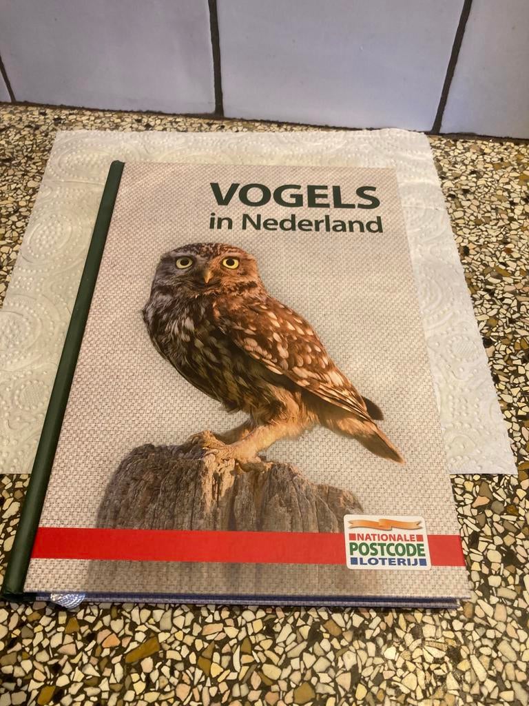 Vogels, Ophalen of Verzenden, Zo goed als nieuw, Vogels