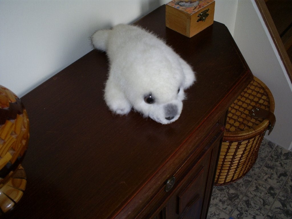 Zeehond knuffel, Ophalen of Verzenden, Gebruikt, Wild dier, Overige typen