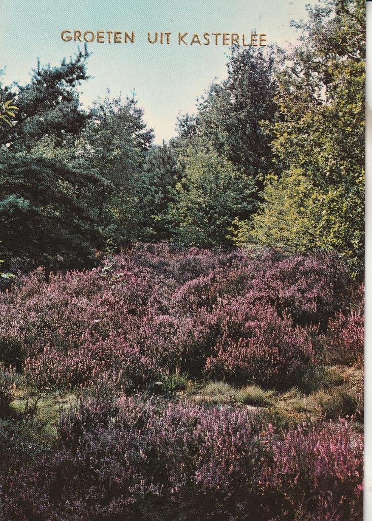 Groeten uit Kasterlee, Ophalen of Verzenden, 1980 tot heden, Gelopen, Antwerpen