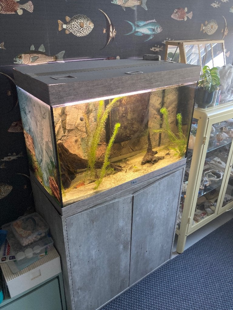 Aquatlantis Splendid Ultra 145 aquariumcombinatie incl. accs, Dieren en Toebehoren, Ophalen, Gebruikt, Inclusief deksel, Aquatlantis