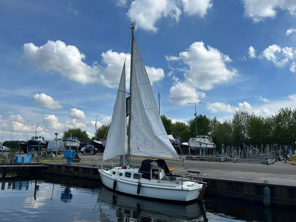 Halcyon 23 - klassieke zeilboot met dieselmotor, vaarklaar, Watersport en Boten, Ophalen, Gebruikt, Polyester, Diesel