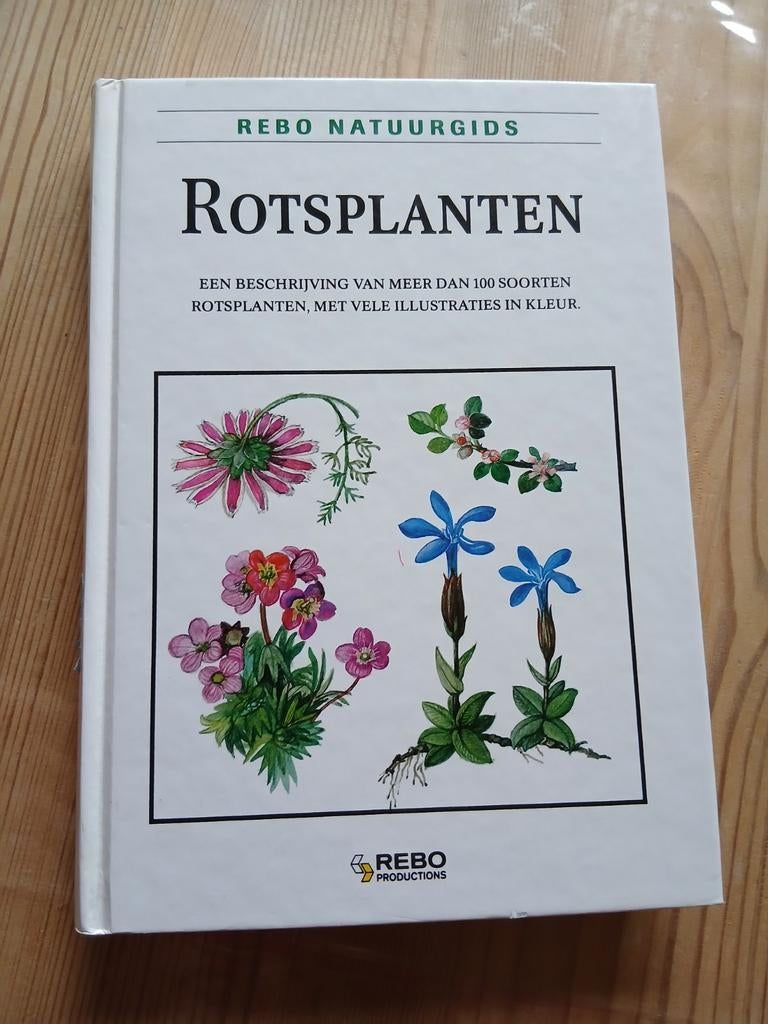 Rebo Natuurgids Rotsplanten, Ophalen of Verzenden