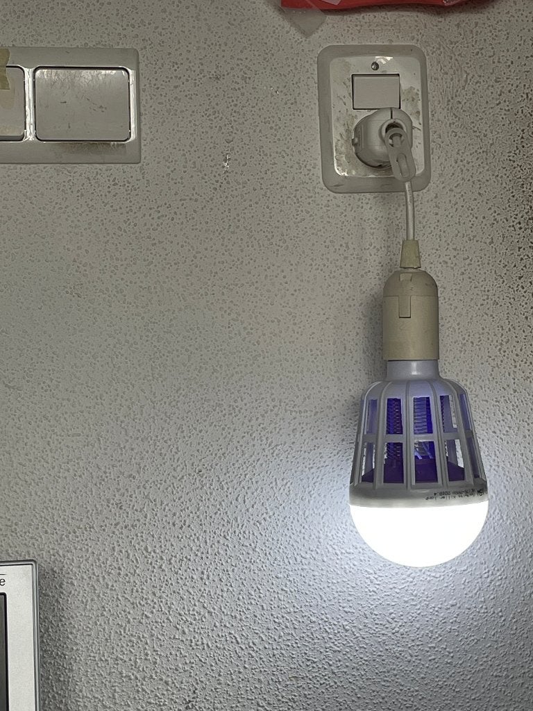 Muggenlamp., Dieren en Toebehoren, Insecten en Spinnen, Overige soorten
