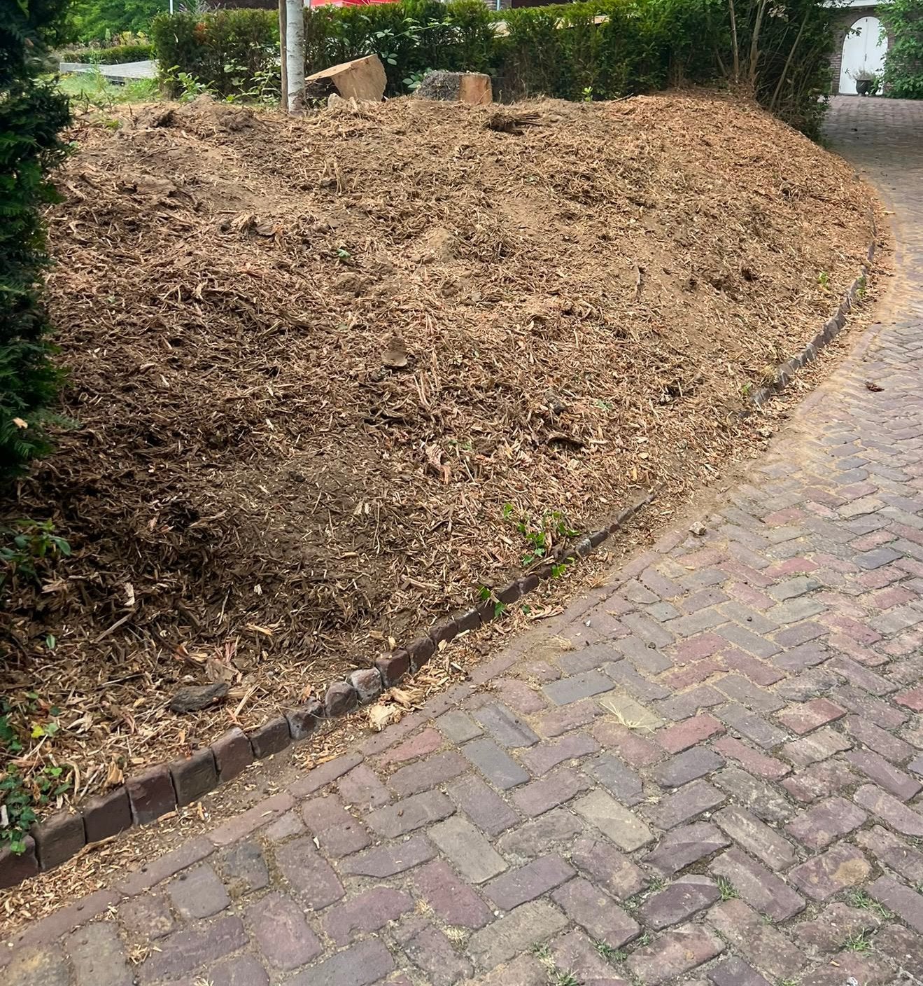 Foto 2 van Boomstronk verwijderen stobbenfrees Limburg