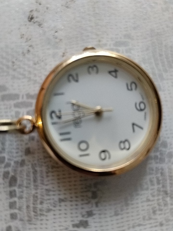 Hang horloge, Sieraden, Tassen en Uiterlijk, Horloges | Antiek, Zakhorloge, Staal, 1960 of later, Met ketting