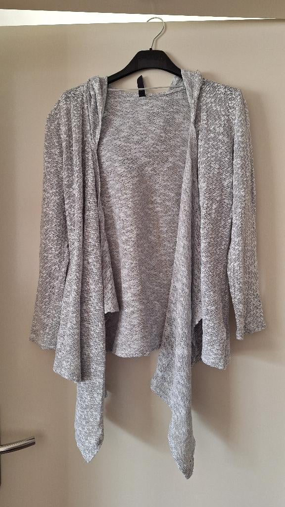 lichtgrijs vest met capuchon, Colours of the world, Ophalen of Verzenden, Zo goed als nieuw, Maat 36 (S)