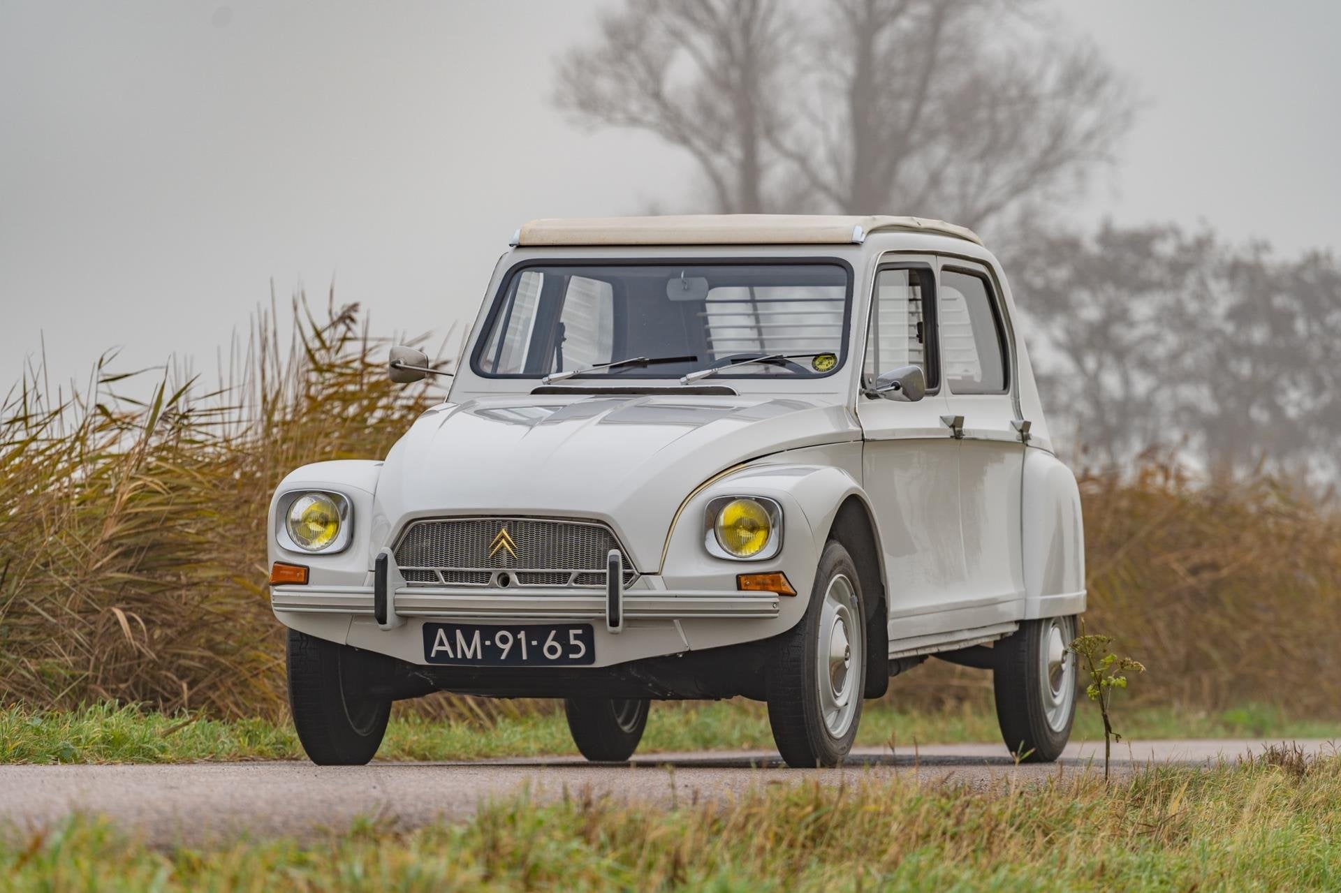 Citroen DYANE, Auto's, Gebruikt, Overige modellen, Overige carrosserieën, Wit