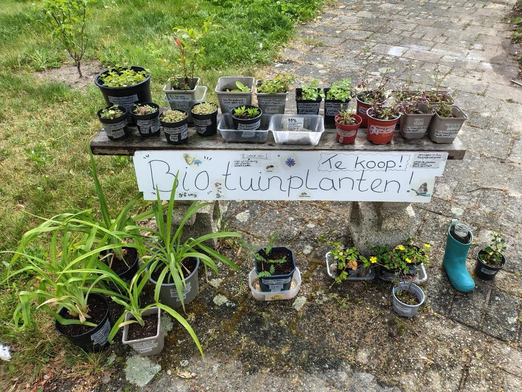Bio inheemse en waard tuinplanten, Ophalen