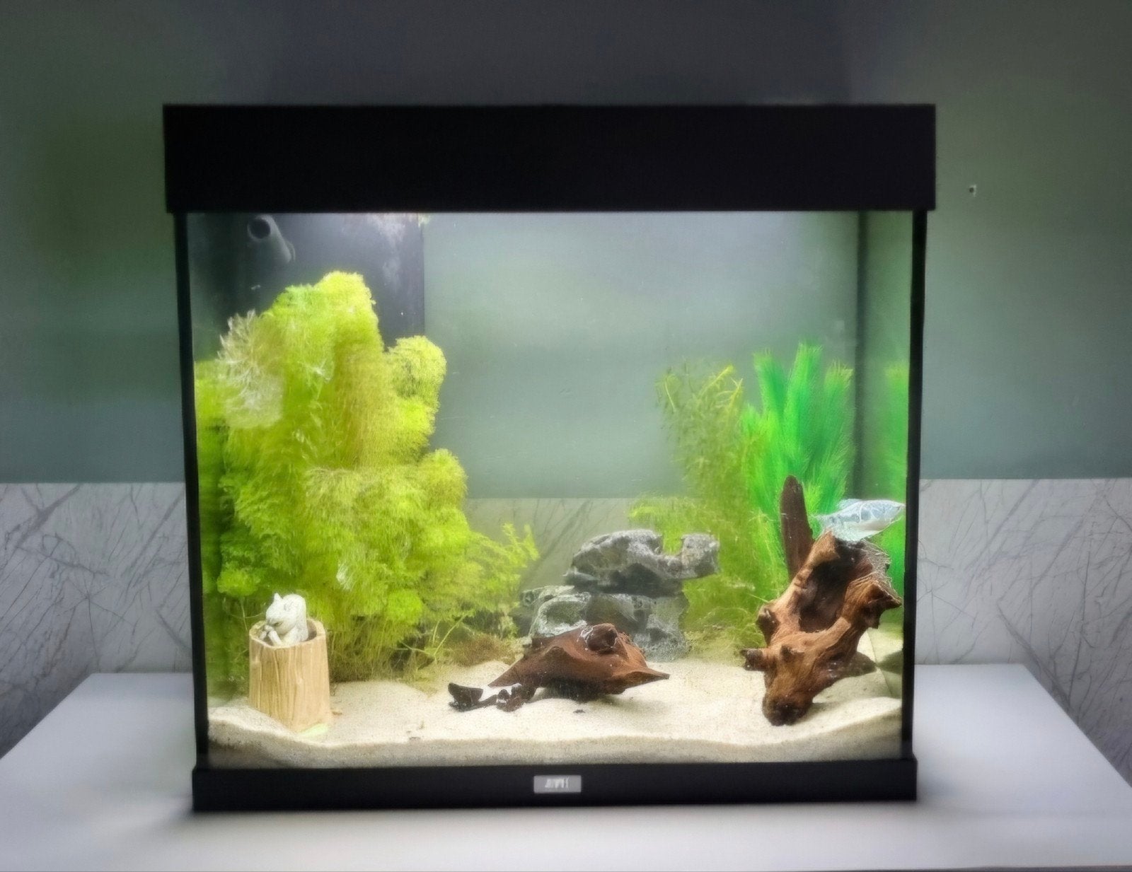 Aquarium van JUWEL, Ophalen, Zo goed als nieuw, Leeg aquarium