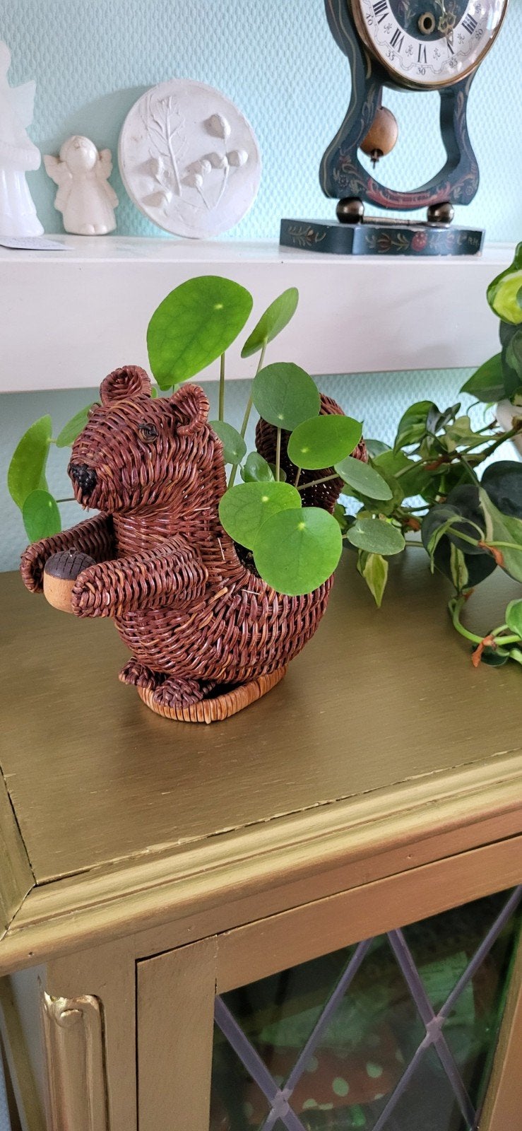 Leuk eekhoorn bloempotje met pannenkoekplant, Ophalen, Halfschaduw, Minder dan 100 cm