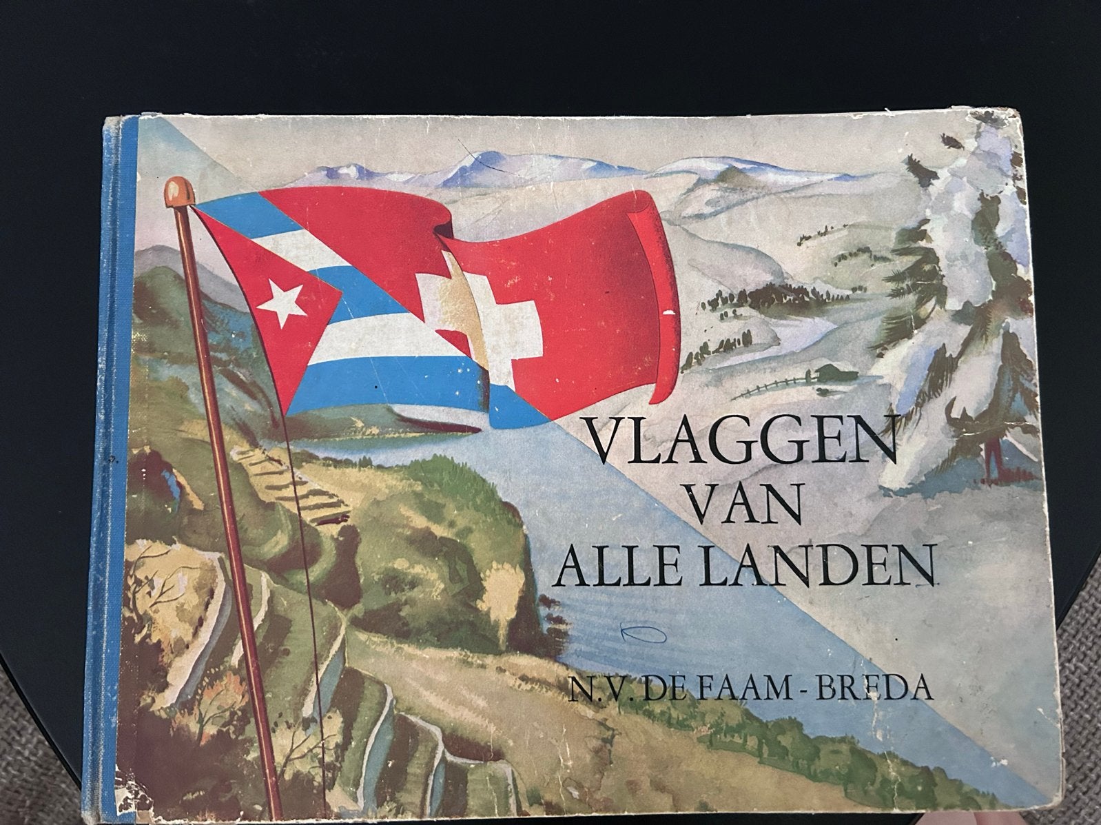 Vlaggen van alle landen - De Faam Breda (6e druk), Europa, Ophalen of Verzenden, Reisgids of -boek, Gelezen