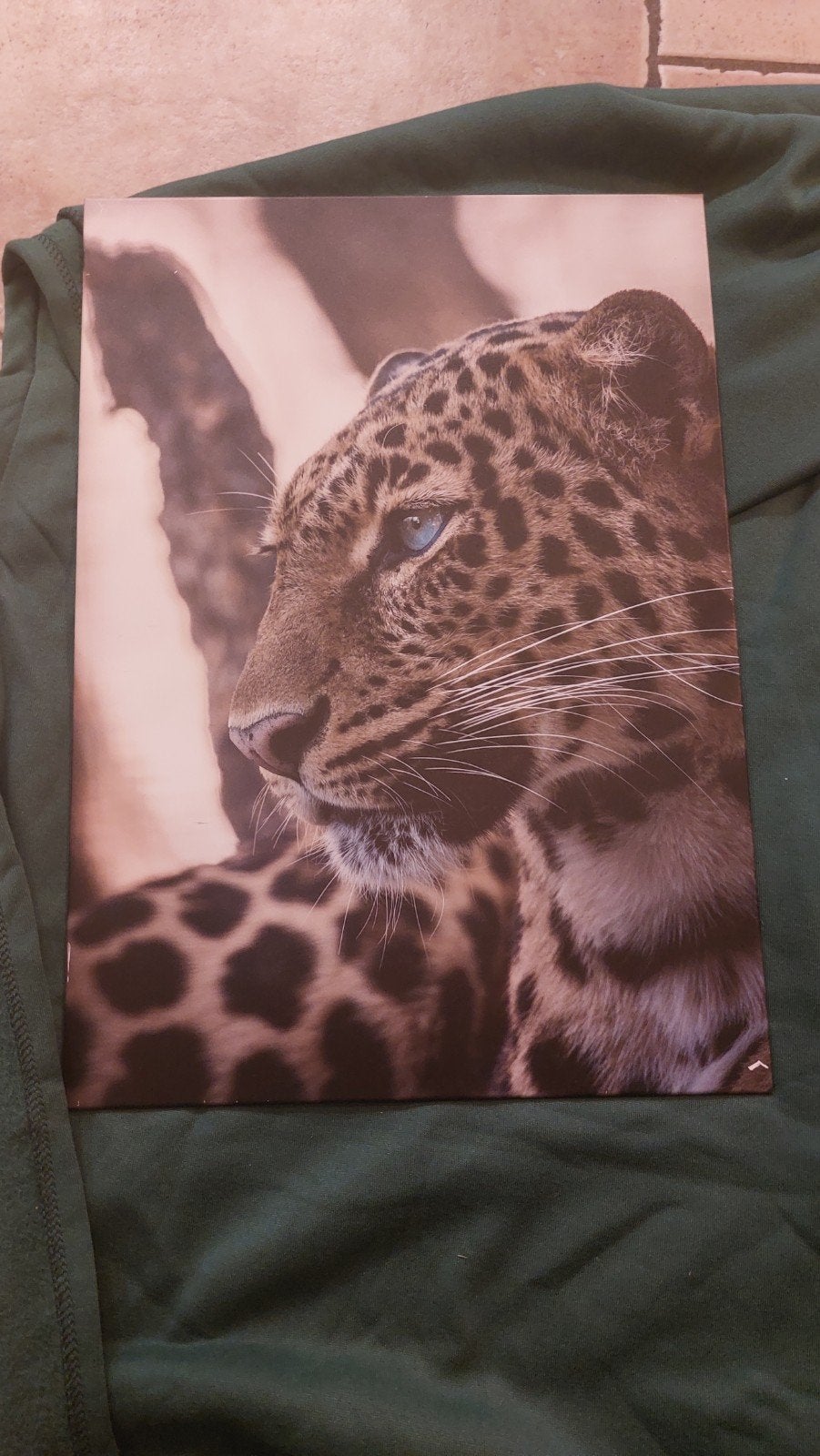 3 metalen Displate posters: Vos, Luipaard, Leeuw, Ophalen, Rechthoekig Staand, Zo goed als nieuw, A1 t/m A3