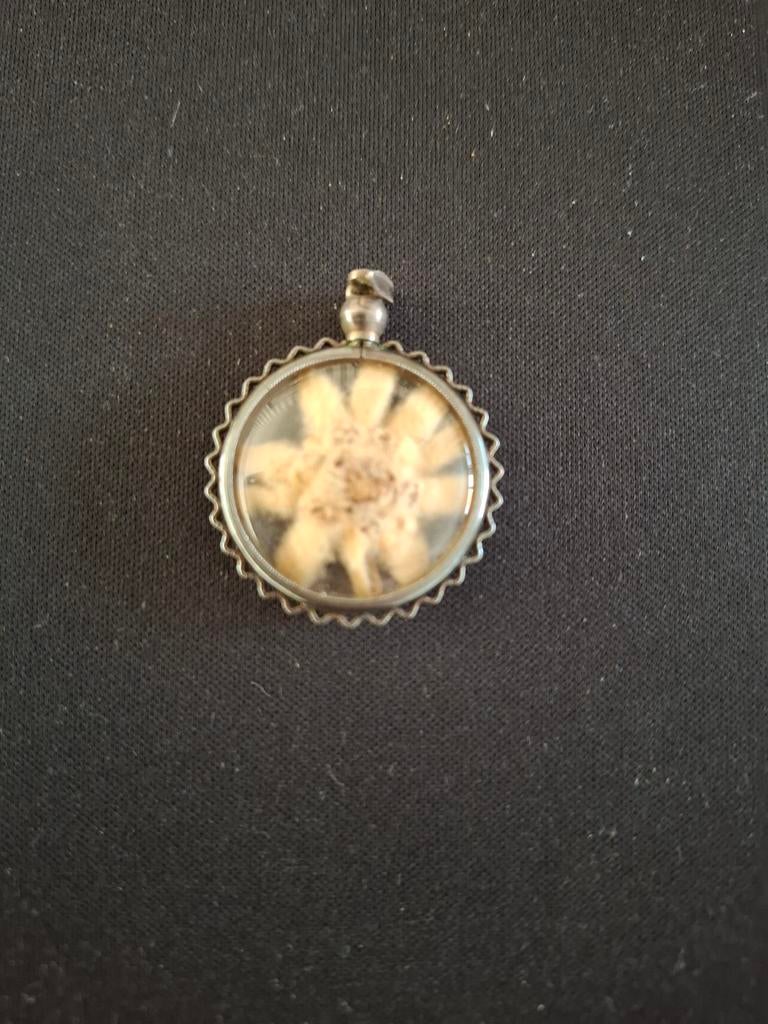 Vintage Edelweiss Hanger - Zilverkleurig met Bloem, Overige materialen, Ophalen of Verzenden, Zo goed als nieuw, Bloem of Plant