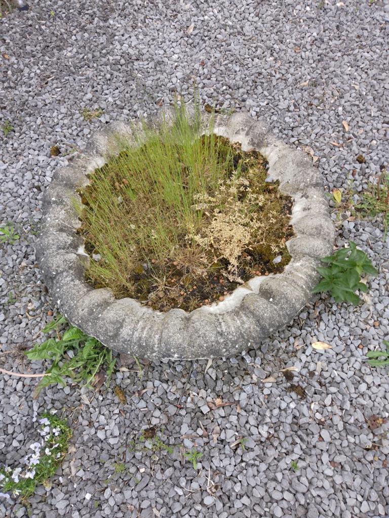 Schelp vormig planten bak, Ophalen, Rond